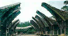 Click Here to view about Toraja Land