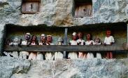 Click here to view the page about funeral ceremony in Toraja Land