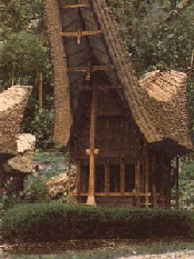 TONGKONAN