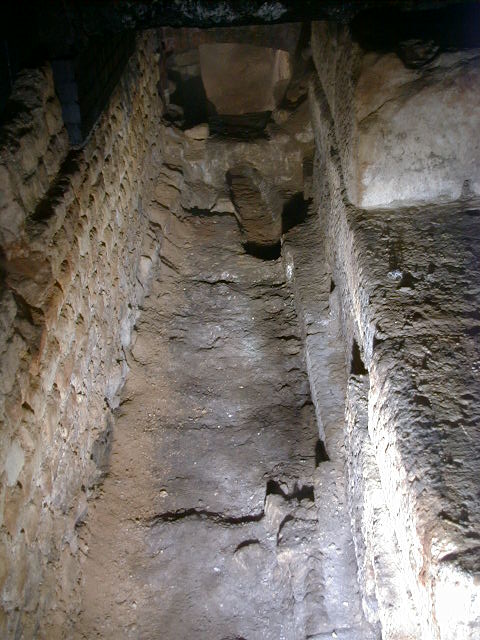 agf00062.jpg (79811 bytes)
