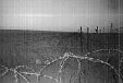 Mine Field