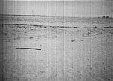 Bar Mine Field