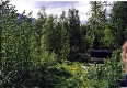 Trav's garden