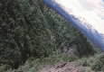 MountainView