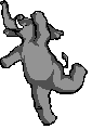 elepdanc.gif - 10958 Bytes