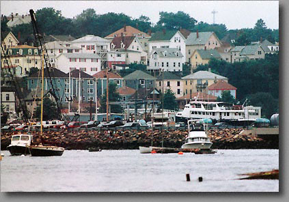 La c&ocirc;te de Gloucester