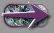 Image suivante