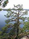 Image-50.jpg