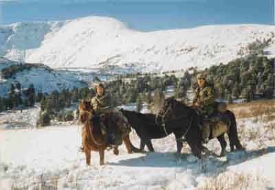 Altai