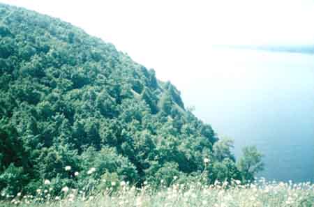 Samara Region