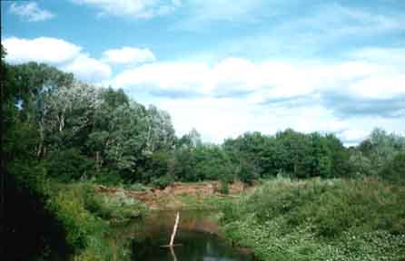 Samara Region
