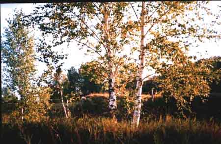 Samarskaya Luka