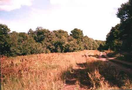 Samarskaya Luka