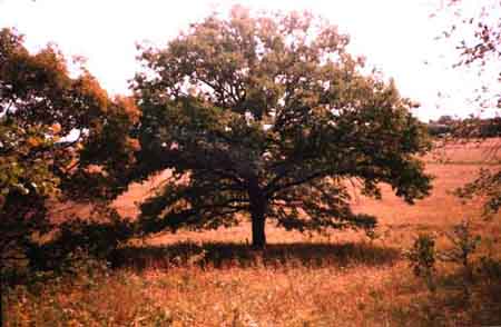 Samarskaya Luka