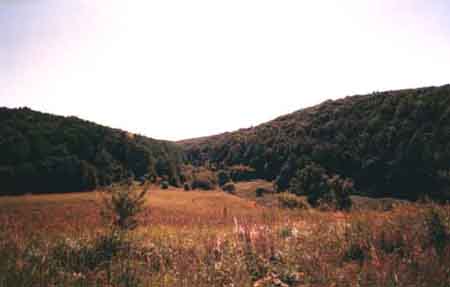 Samarskaya Luka