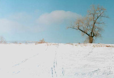 Samara Region