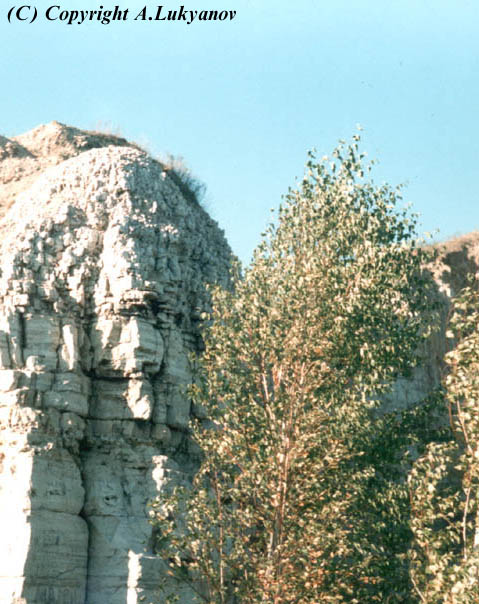 ����� ������