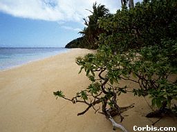 Fiji