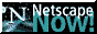 Netscape Now Logo