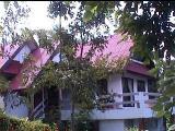 dothome.JPG (7858 bytes)