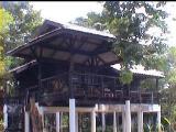 homechaipuk.JPG (6521 bytes)