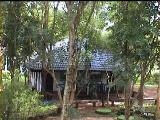 homejanpar.JPG (7941 bytes)