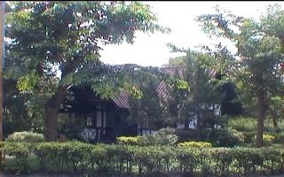 newjamjuree.JPG (19439 bytes)