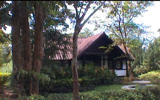 newjamjuree1.JPG (19998 bytes)
