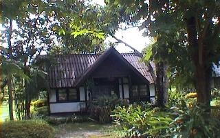 newpudtachard1.JPG (21983 bytes)