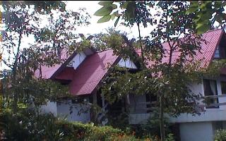 newracharwadee3.JPG (23235 bytes)