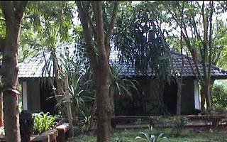 newwasana copy.jpg (22234 bytes)