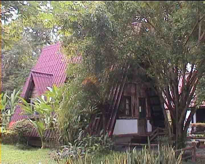 puksanew copy.jpg (40950 bytes)