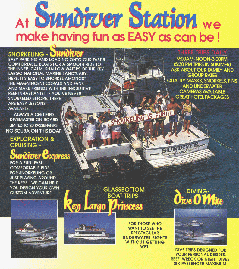 wpe91753.gif (363192 bytes)