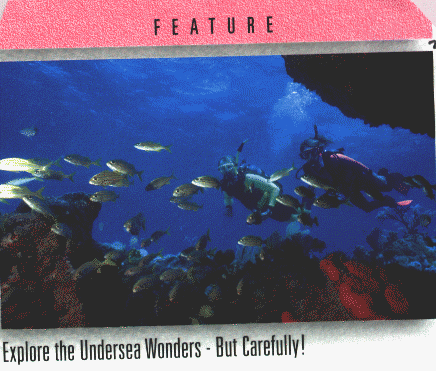 wpe43648.gif (63456 bytes)