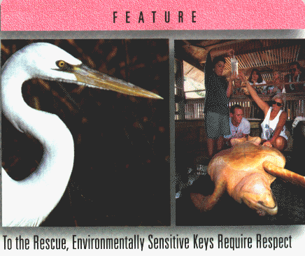 wpe85325.gif (62396 bytes)