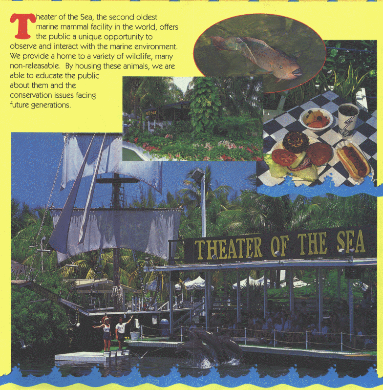 wpe23771.gif (326003 bytes)