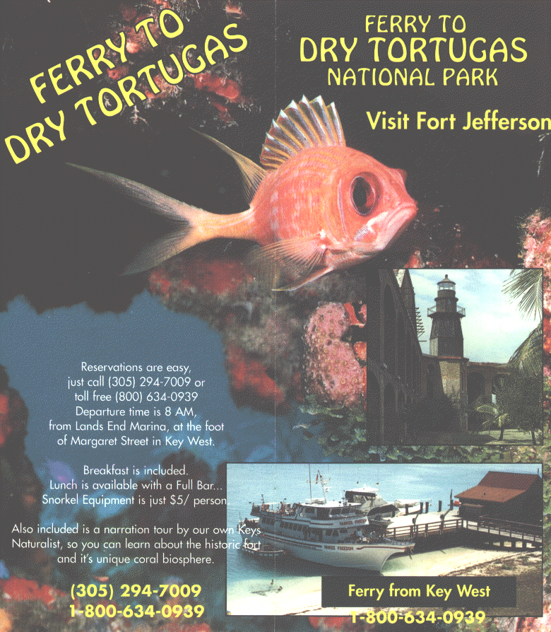 wpe58221.gif (313438 bytes)