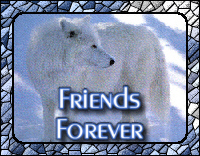 Friends Forever Web Ring