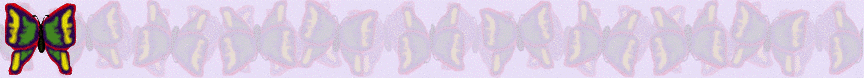 BUTTERFLY BACKGROUND 2