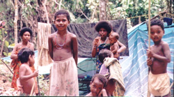 The whole village started coming out.