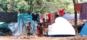 I wonder who was more curious...