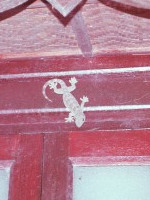 This gecko was at least 2 feet long.