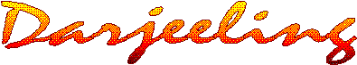 wpe3.gif (2916 bytes)
