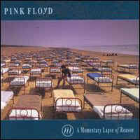 Pink Floyd - A Momentary Lapse Of Reason.jpg (32895 bytes)