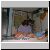 DSCF0039.JPG