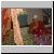 DSCF0087.JPG