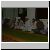 DSCF0251.JPG