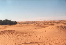 The Sahara beyond Ksar Ghilaine