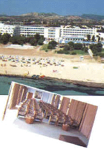 Colombe2.jpg (37210 octets)