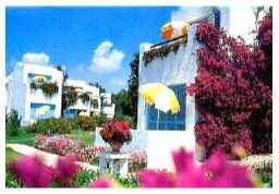 Sheraton2.JPG (27790 octets)